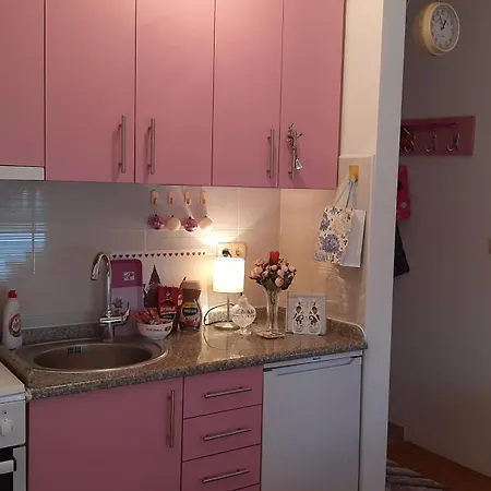 Pink Panter * 도보이